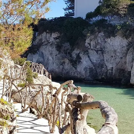 Menorca Biniforcat 54