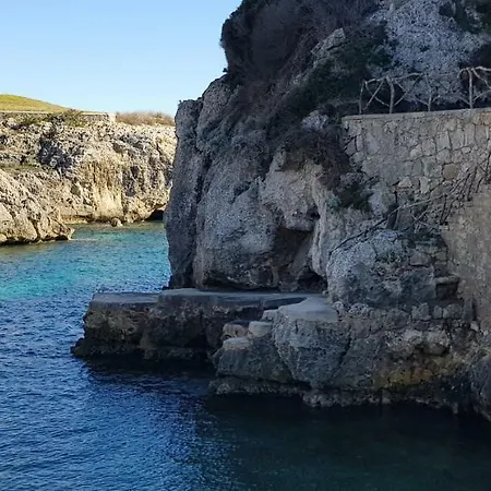 Menorca Biniforcat 54